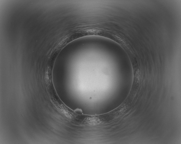 X0000054460424200507291353