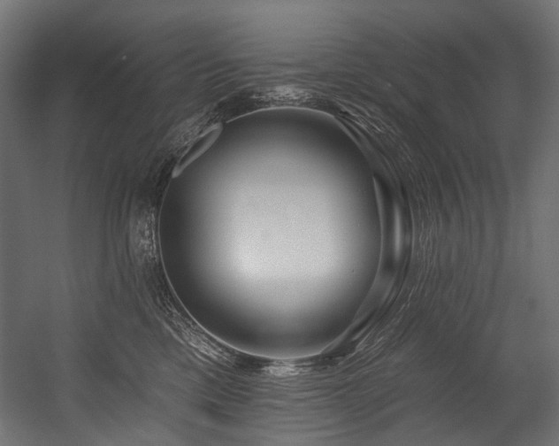 X0000054460425200507291353