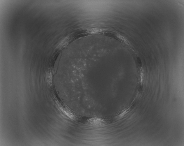 X0000054460427200507291353