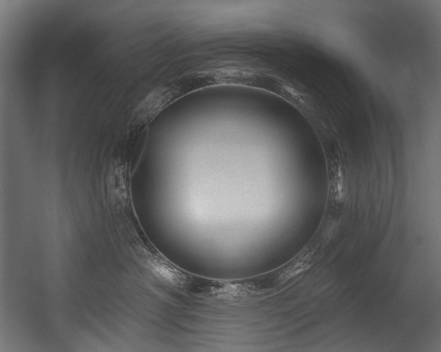 X0000054460430200507291353