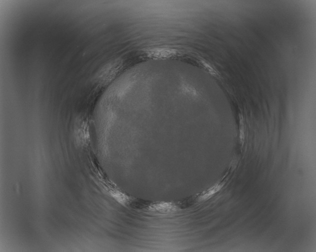 X0000054460431200507291353