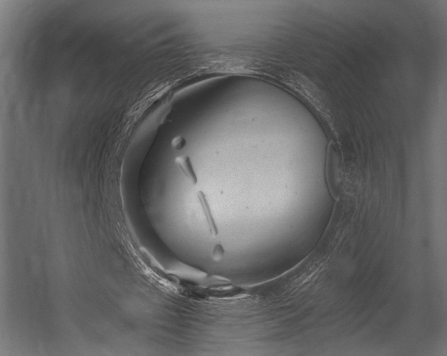 X0000054460433200507291352