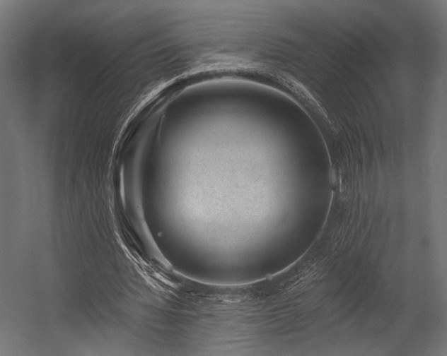 X0000054460436200507291352