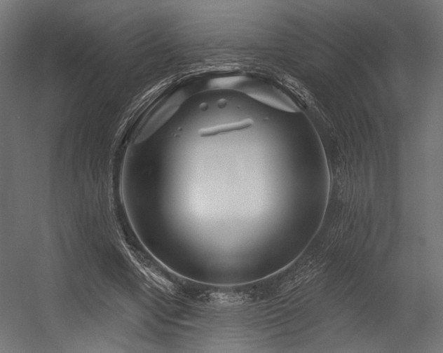 X0000054460442200507291352