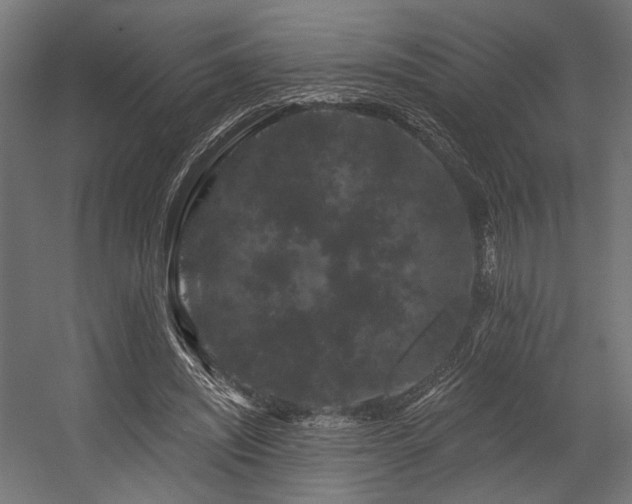 X0000054460444200507291352