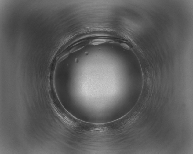 X0000054460447200507291352