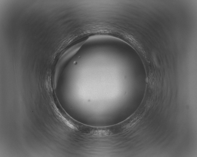 X0000054460449200507291352