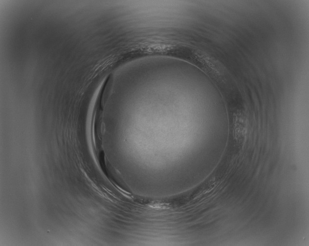 X0000054460451200507291352