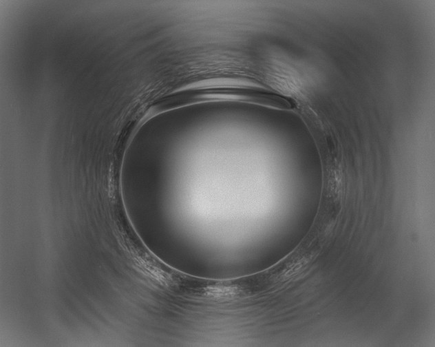 X0000054460457200507291353