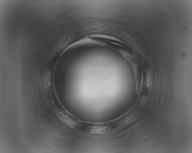 X0000054460458200507291353