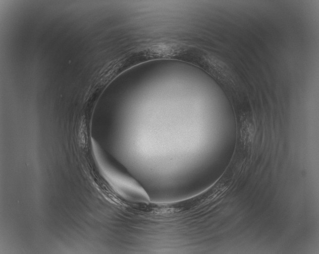 X0000054460459200507291353