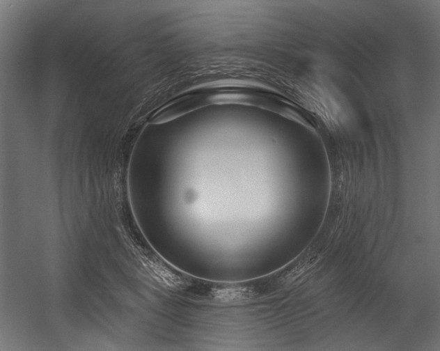 X0000054460461200507291353