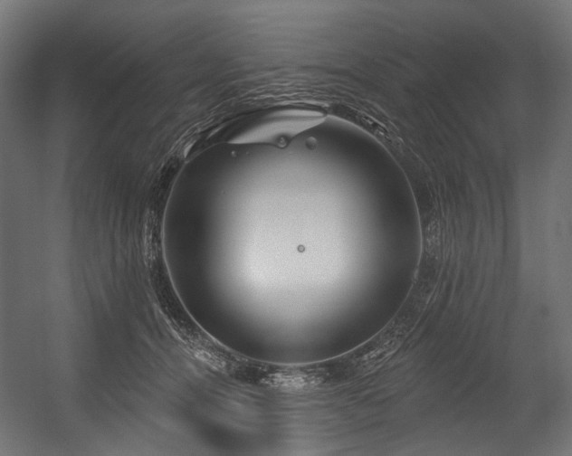 X0000054460464200507291353