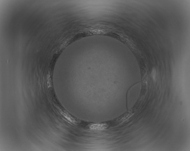 X0000054460465200507291353