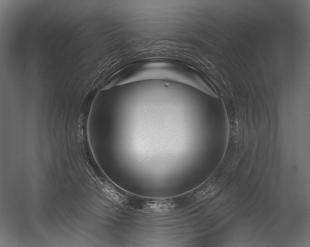 X0000054460466200507291353