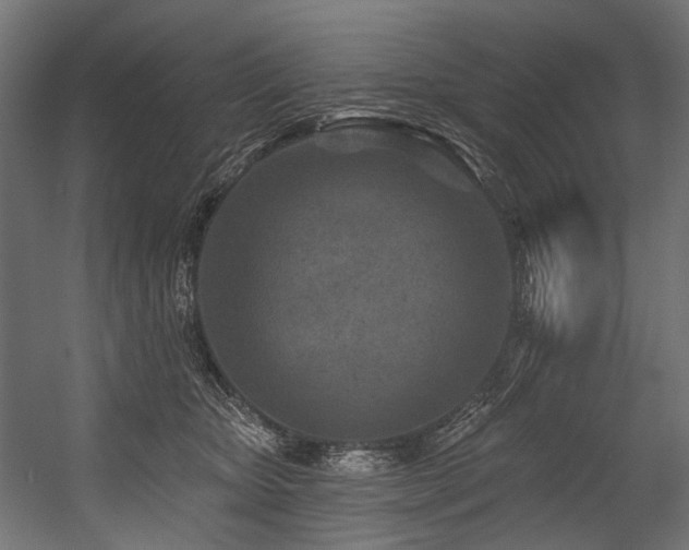 X0000054460467200507291353