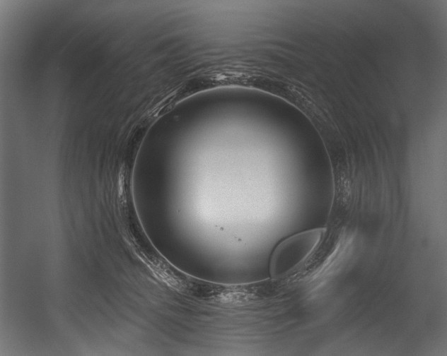 X0000054460468200507291353