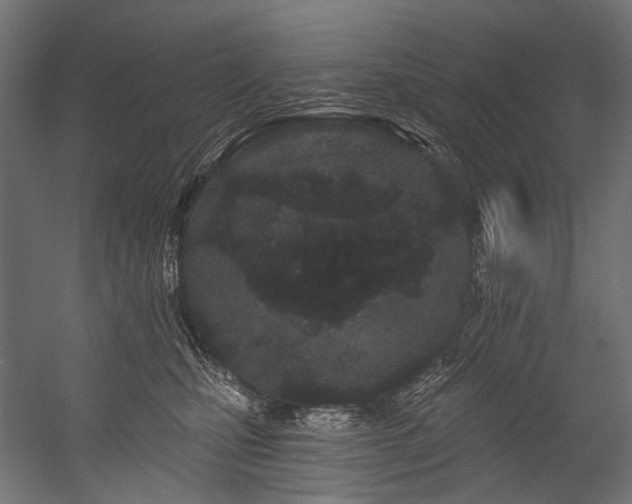 X0000054460471200507291353