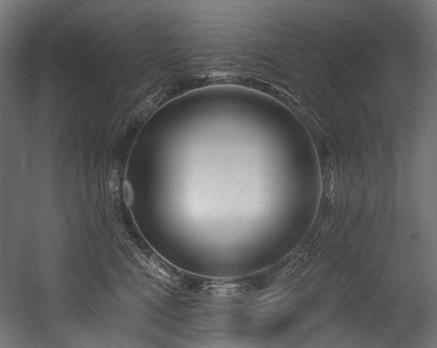 X0000054460472200507291353