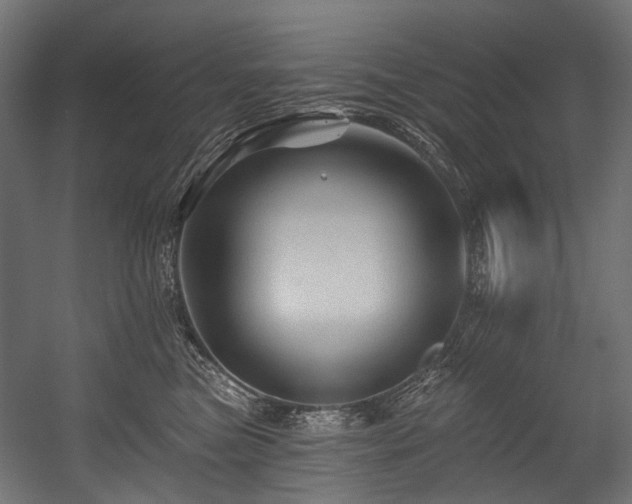 X0000054460473200507291353