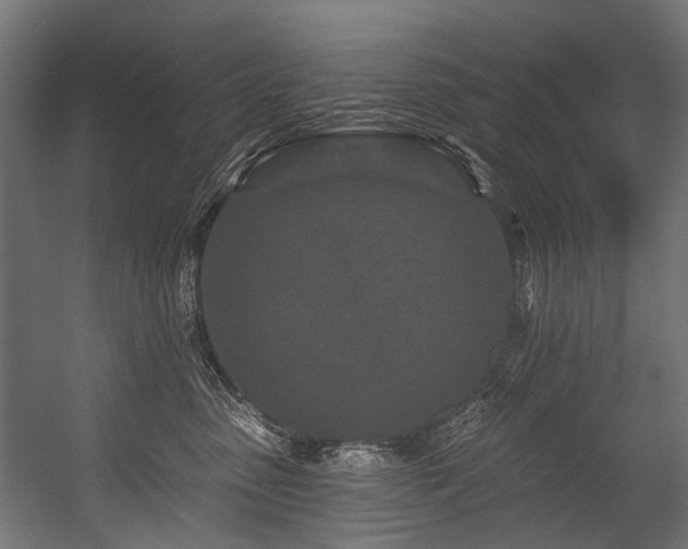 X0000054460475200507291353