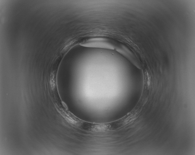 X0000054460479200507291353