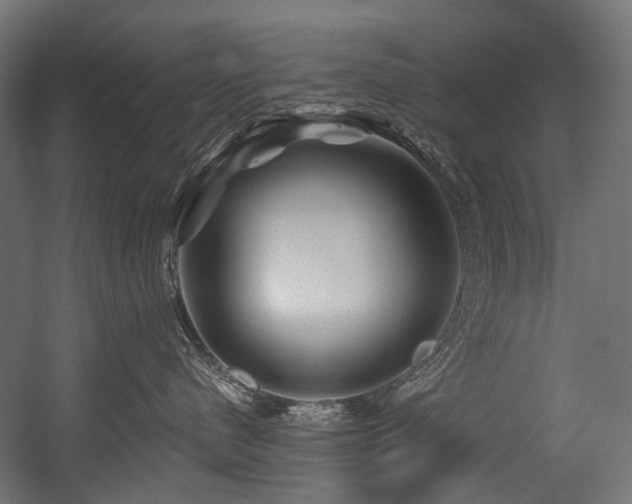 X0000054460480200507291353