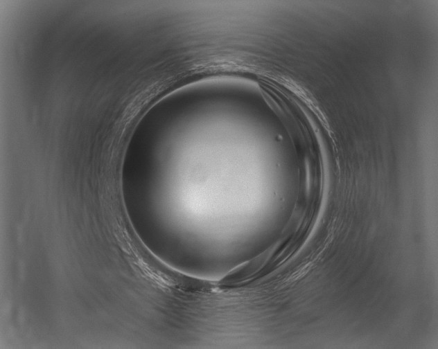 X0000054460481200507291352