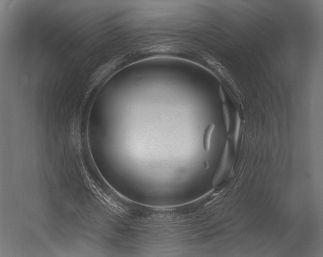 X0000054460482200507291352