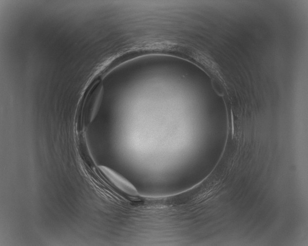 X0000054460483200507291352