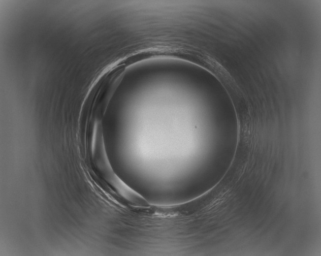 X0000054460484200507291352