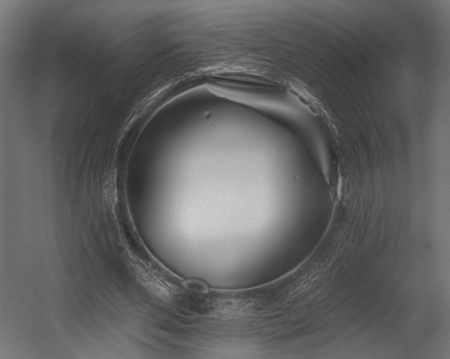 X0000054460486200507291352