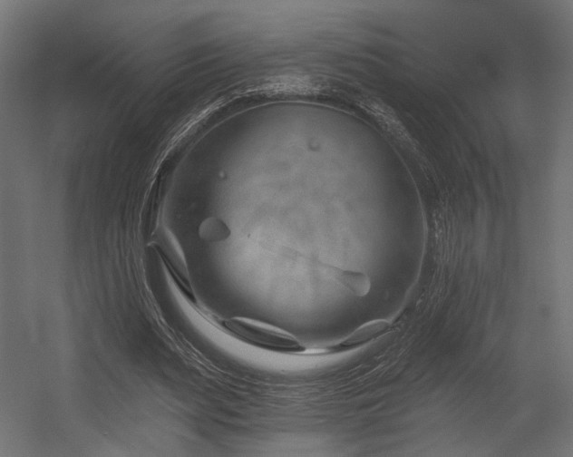 X0000054460487200507291352