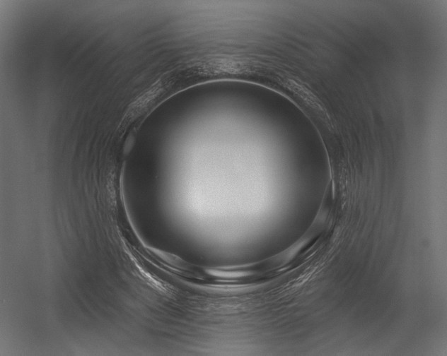 X0000054460489200507291352