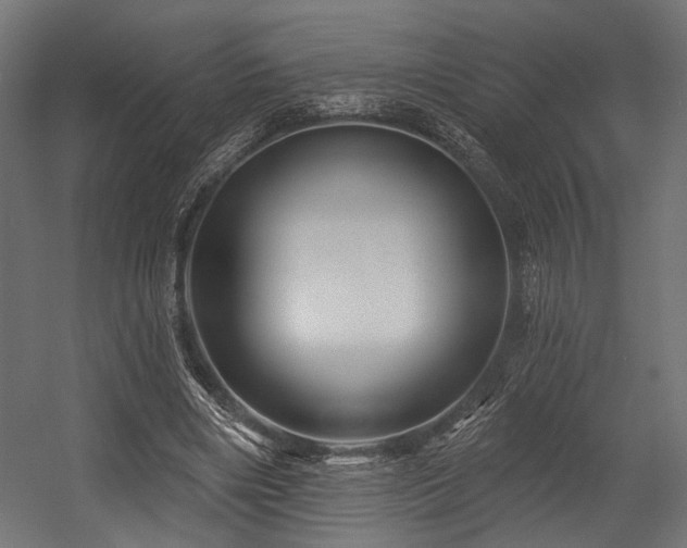 X0000054460490200507291352