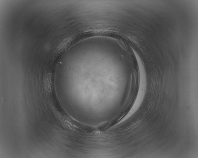 X0000054460495200507291352