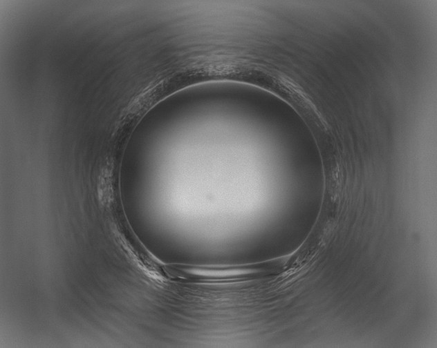 X0000054460497200507291352