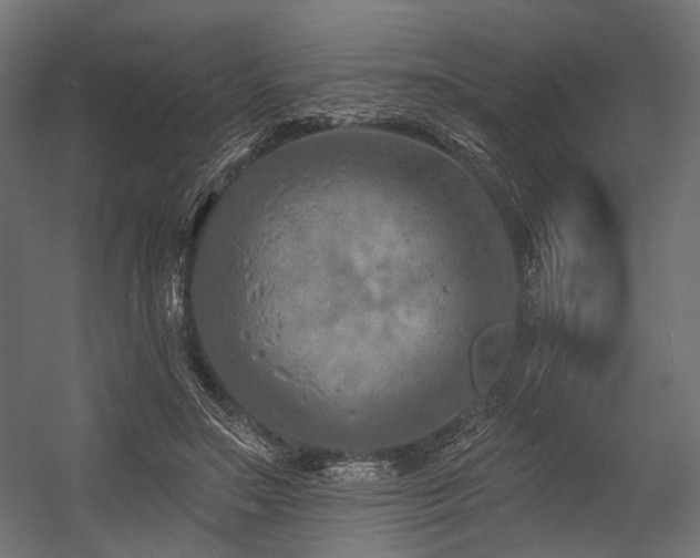 X0000054460499200507291352