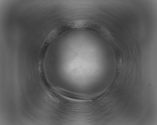 X0000054460503200507291352