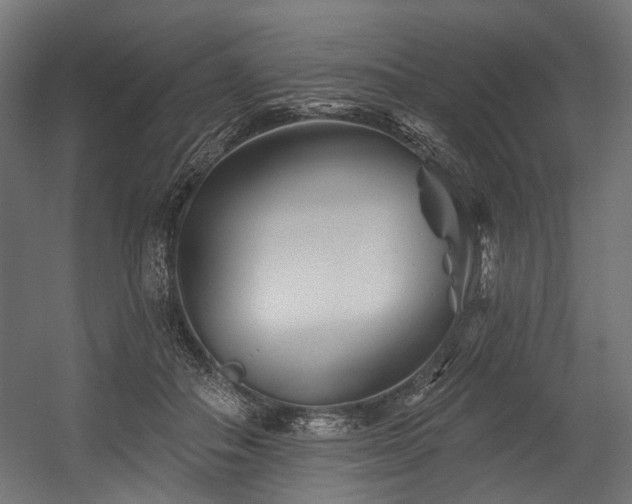 X0000054460506200507291352