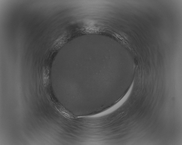 X0000054460507200507291352