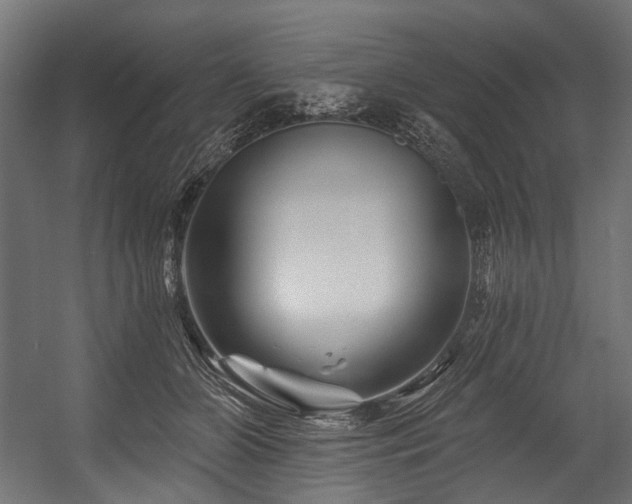 X0000054460510200507291352