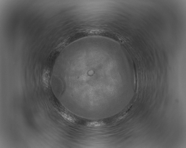 X0000054460511200507291352