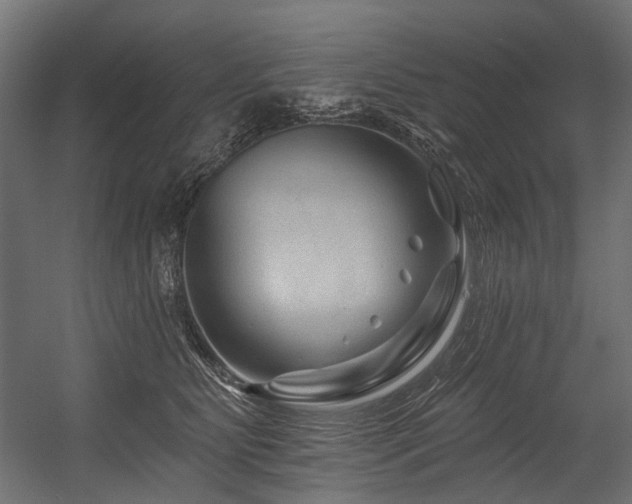 X0000054460515200507291352