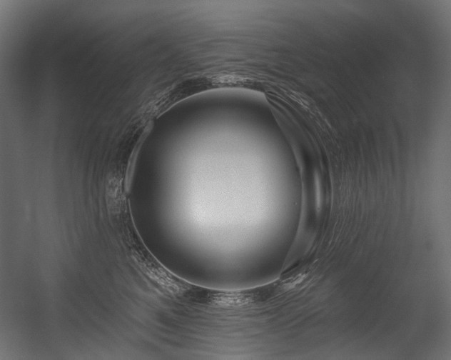 X0000054460521200507291351