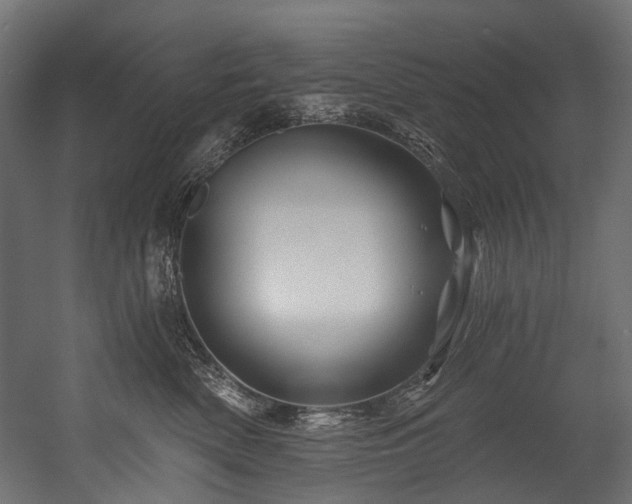 X0000054460522200507291351