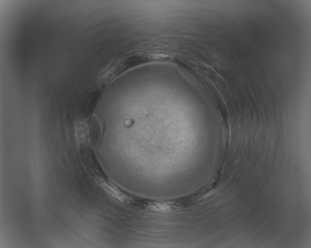 X0000054460523200507291351