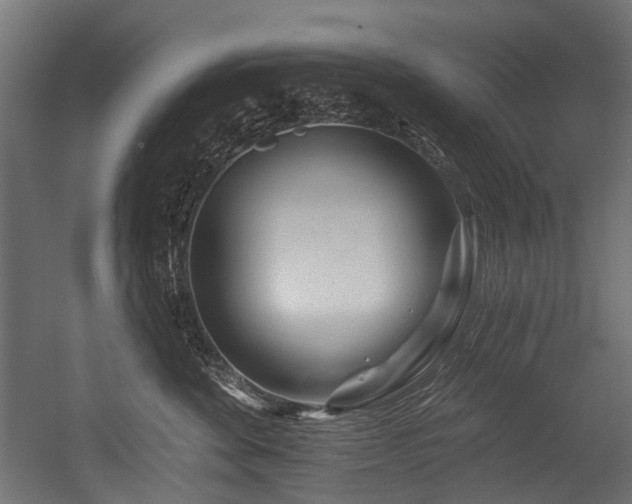 X0000054460524200507291351