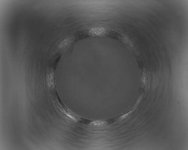 X0000054460526200507291351