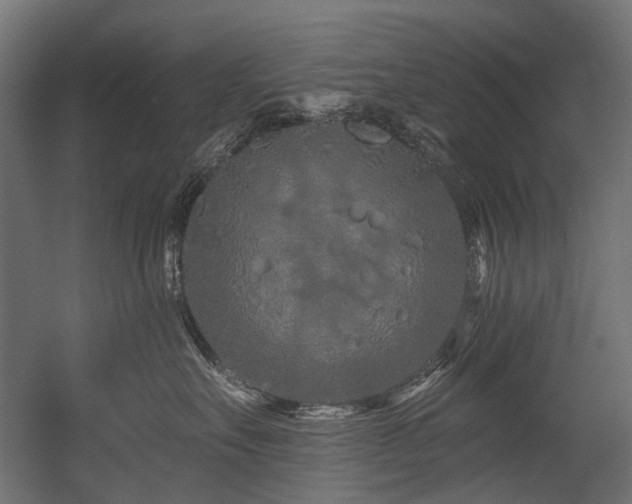 X0000054460527200507291351